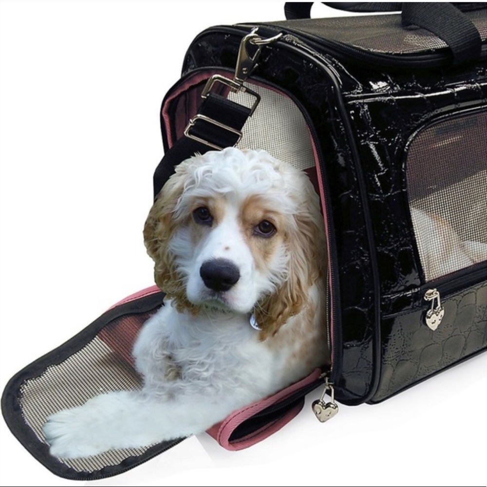 Kathy Van Zeeland Travel Duffel Carrier - Large